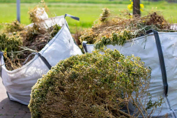 Best Office Junk Removal  in Rkesburg, PA